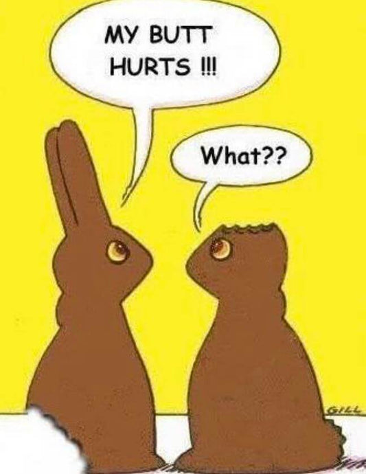 My Butt Hurts says one chocolate bunny to another who says What?