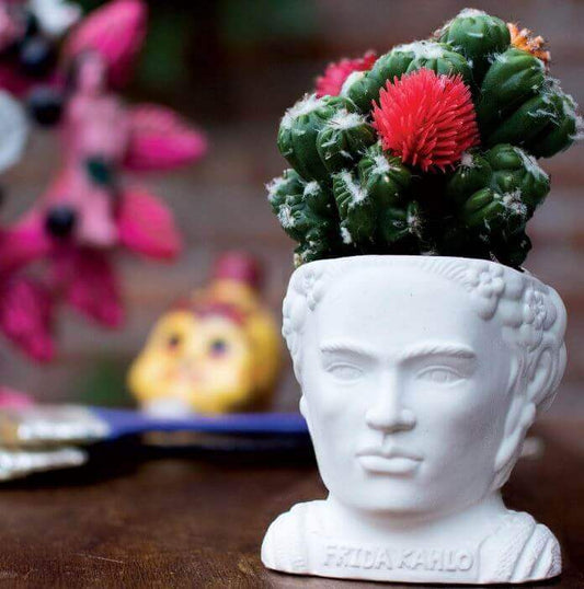 Frida Kahlo Ceramic Planter Pot - Fertile Minds with a plant