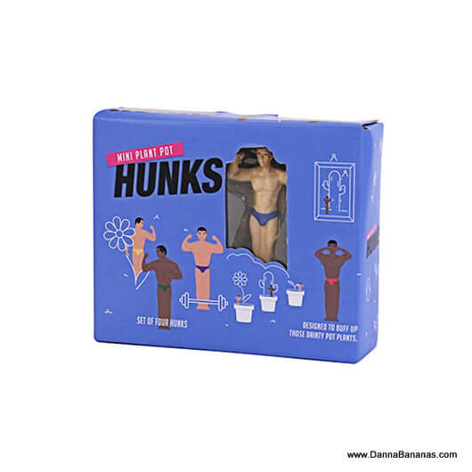Mini Plant Pot Hunks