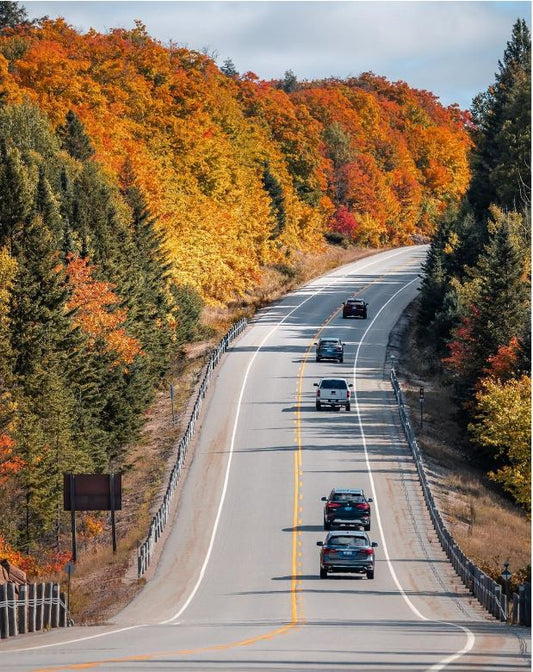 Fall for Everything New!