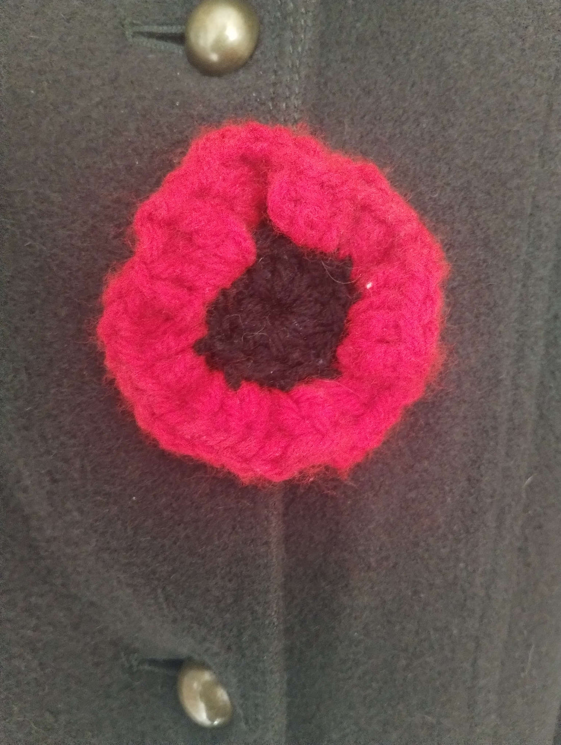 Honouring Canada’s Unknown Soldier on Remembrance Day