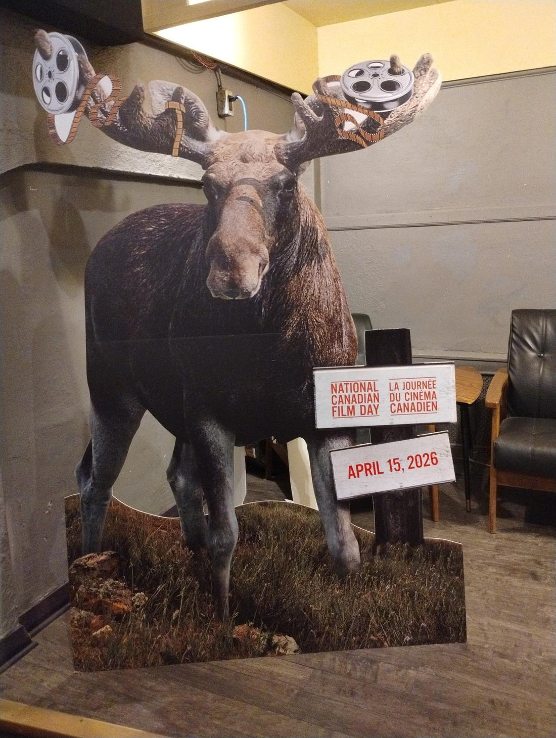Moose display holding film reels for National Canadian Film Day at a Canadian movie theatre, April 15, 2026