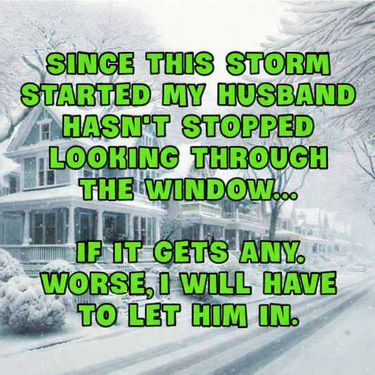 Funny winter storm meme with green text joke about a husband stuck outside looking in.