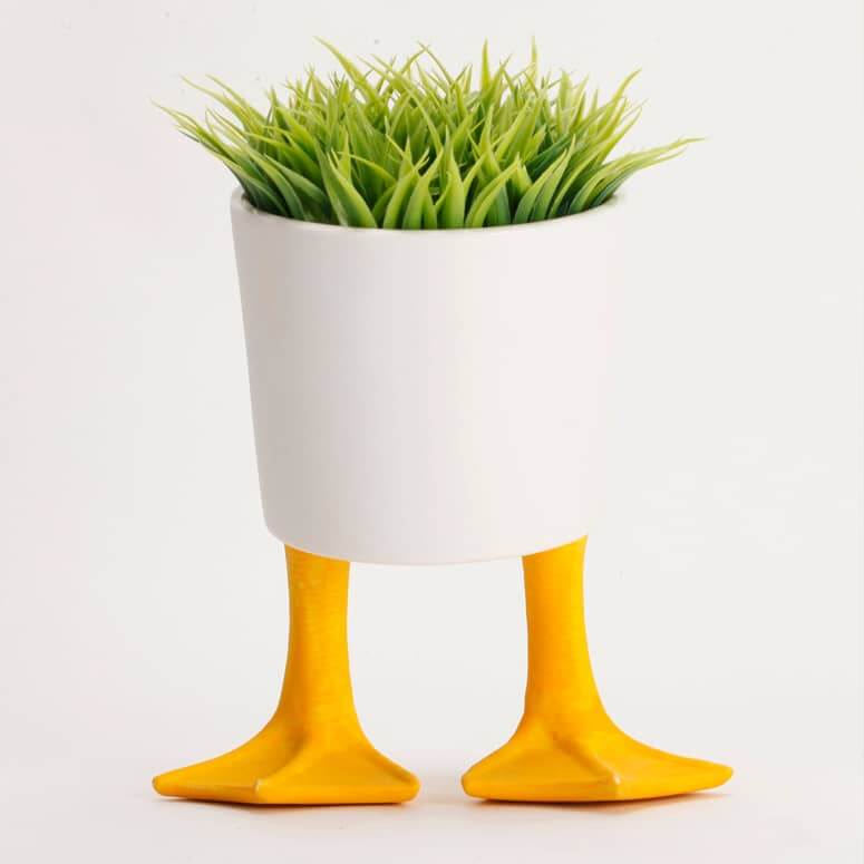 Plant in Duck Feet Planter