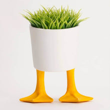 Plant in Duck Feet Planter