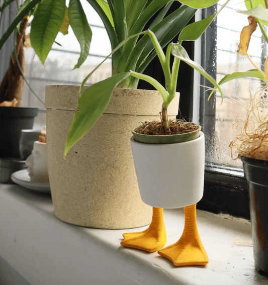 Plant in Duck Feet Planter