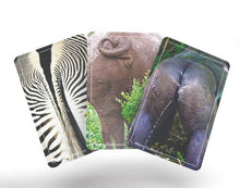 Name That Bum Hole Card Game Cards