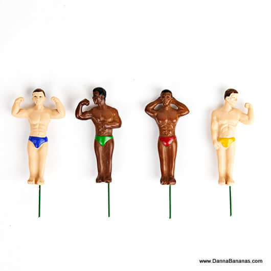 Mini Plant Pot Hunks Plant Stakes