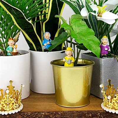 Mini Plant Pot Royal Gardeners