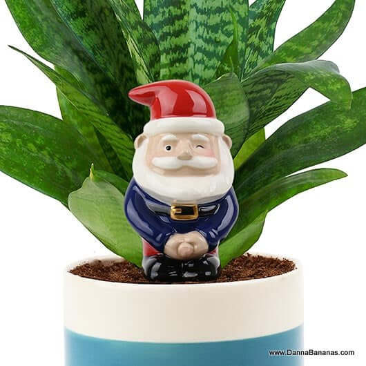 Peeing Gnome Self Watering Gnome in a plant