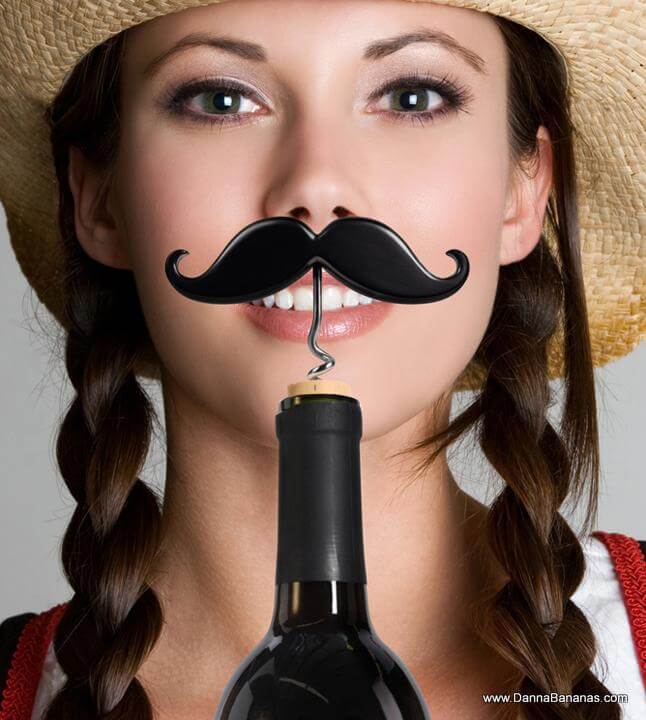 Handlebar Picture